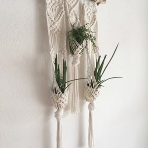 Könnte beinhalten: Ein Wandbehang aus Makramee mit drei Pflanzenhängern. Die Hänger sind aus natürlichem Baumwollschnur und haben ein schlichtes, geometrisches Design. Der Wandbehang ist an einem Holzast befestigt.