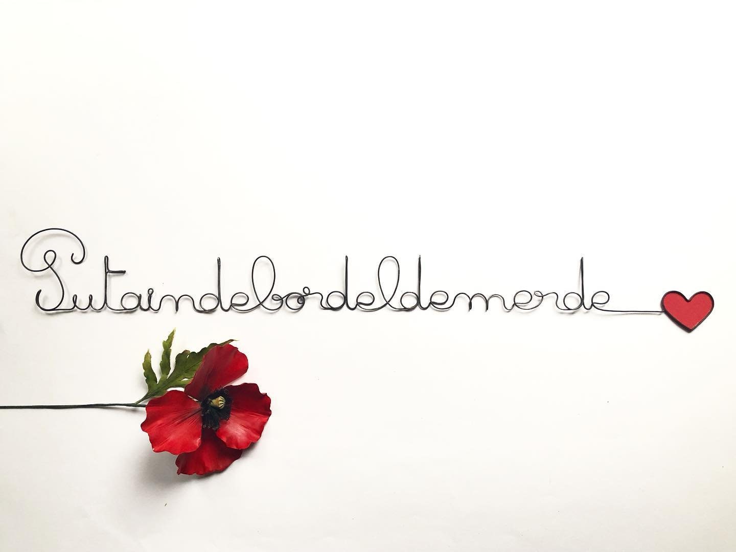 Ecriture Fil de Fer, Phrase Citation Décoration Murale Gros Mot