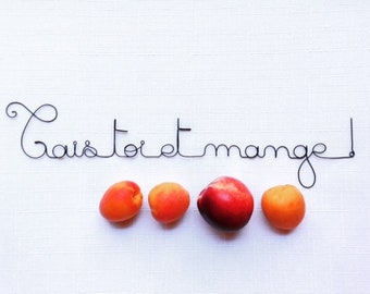 Writing wire, phrase wire, quote wire, wall decoration wire