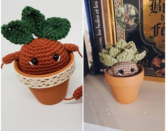 petite plante magique au crochet (mandragore ou succulente)