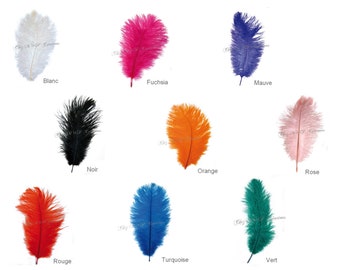Small ostrich feather, length 20/25 cm, choice of colors