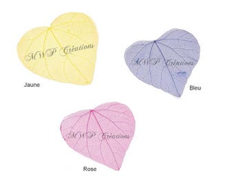 Petites Feuilles squelette (lot de10)