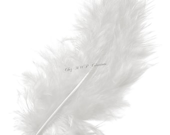 Plumes de marabout 10cm - Blanc