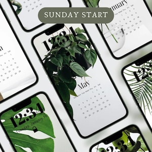 2025 Plant Aesthetic Phone Calendar Wallpapers, 12 Calendar Lock screen, Phone Calendar Lockscreen, Nature Aesthetic Background,Sunday Start