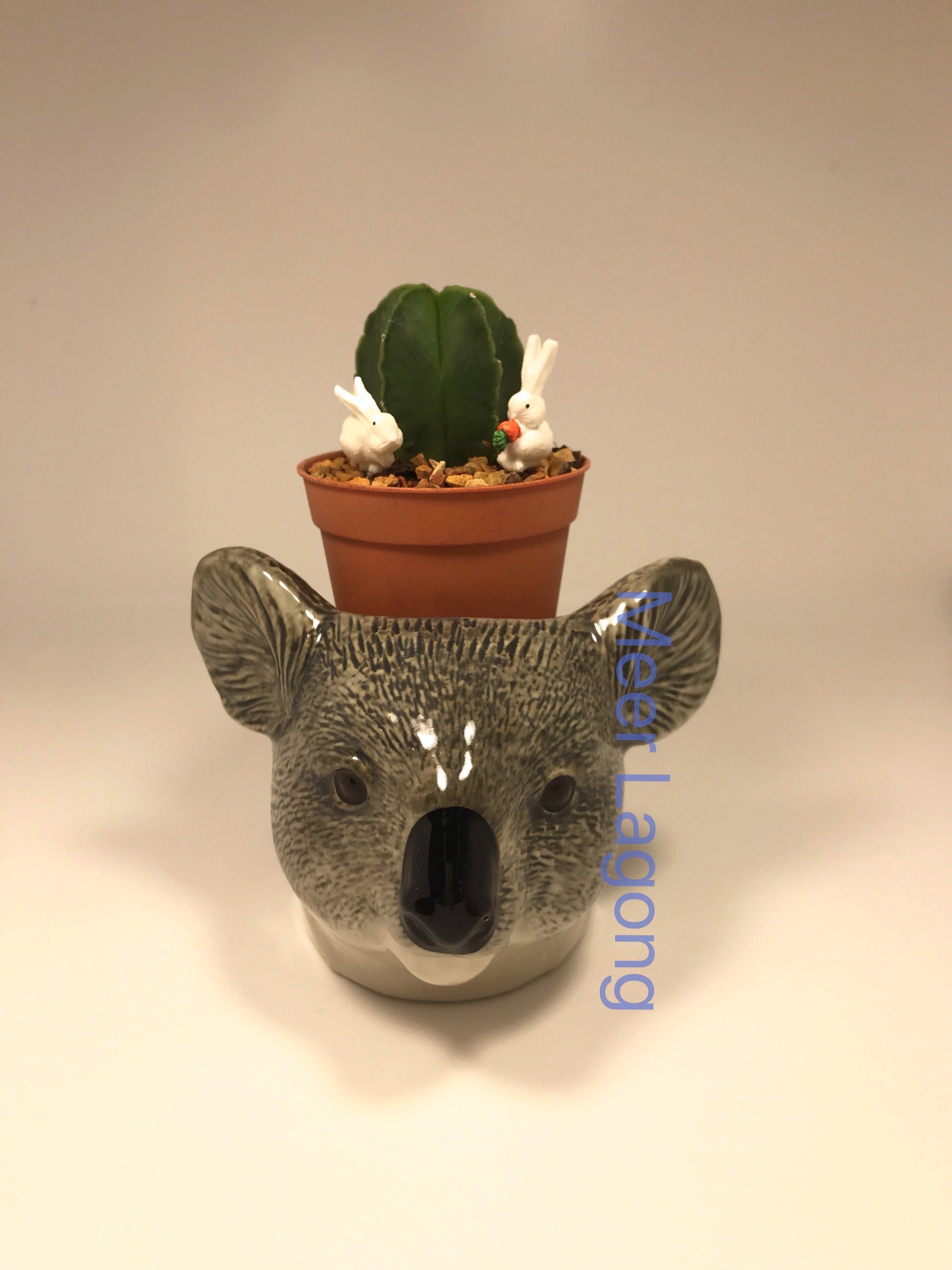 Koala Bear Egg Holder animal / small flowerpot Etsy