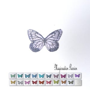 ailes papillons transparents pailletés ou vernis 3.5 cm pour scrapbooking, carterie, figurine fée, bébé fimo, déco florale, Home déco