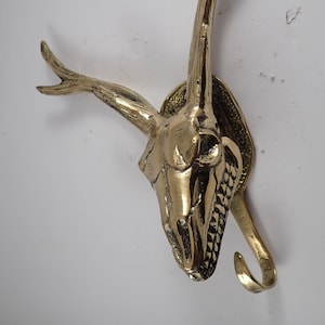 Skull wall sculpture hook in brass