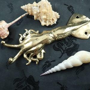 Brass squid hook flat lay ocean decor with shells nautical coastal styling
