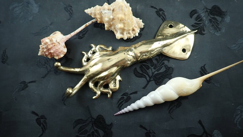 Brass squid hook flat lay ocean decor with shells nautical coastal styling