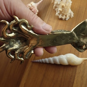 Squid wall hook in hand over wooden background showing real color and finish