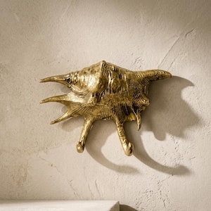 Brass Seashell Double Hook, Coastal Nautical Beach House Decor