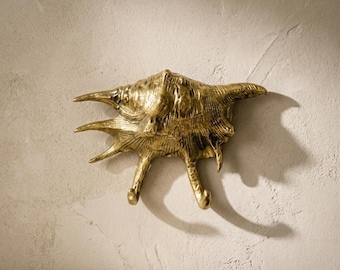 Brass Seashell Double Hook, Coastal Nautical Beach House Decor
