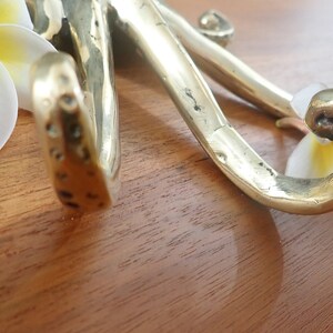 Close detail brass octopus tentacle hook, kraken wall hook decorative brass hardware