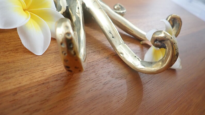 Close detail brass octopus tentacle hook, kraken wall hook decorative brass hardware