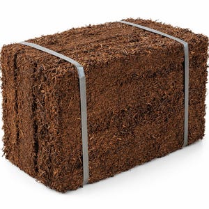 Tree Fern Orchid Mounting Plates, Indoor/Outdoor Planter (Set of 4)