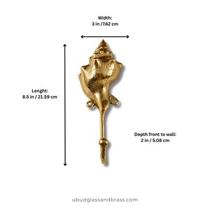 Size chart for brass shell spiral hook showing width 3 inches 7.62 cm, length 8.5 inches 21.59 cm, and depth front to wall