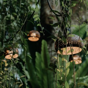 Coconut shell lights outdoor hanging lamps, tropical garden lighting, coconut patio decor lights