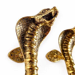 Messing Cobra Türgriff, Schlange Eingang Hardware, Gothic Dark Academia Dekor