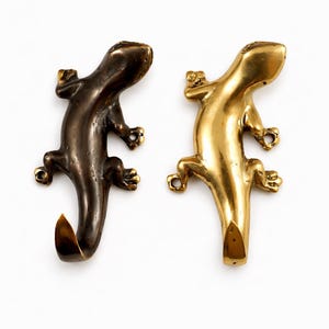 Gancho para lagarto gecko. Juego de 2