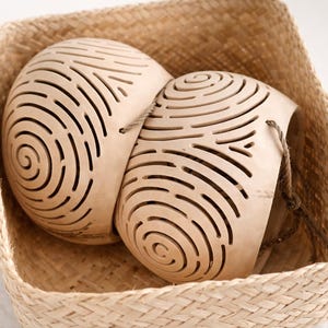 Set of 4 Hanging Coconut Planters | Orchid Kokedama Holder, Hanging Orchid Pot | Hand Carved Young Coconut Shell Pots