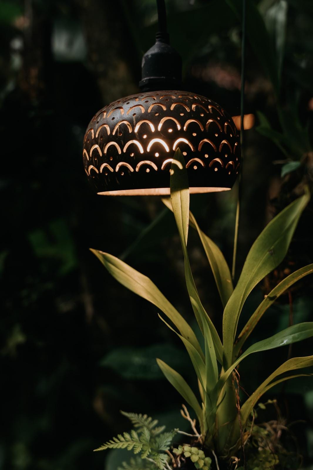 Set of 8 Hand Carved Coconut Shell Lamp Shades, Tropical Outdoor