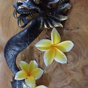 Antique bronze dragon door handle with flowers Bali brass dragon pull