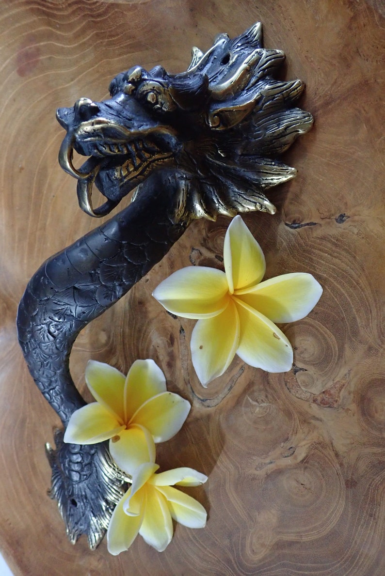 Antique bronze dragon door handle with flowers Bali brass dragon pull