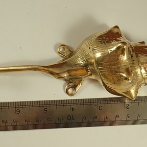 Brass shell spiral hook shown next to a ruler for size reference