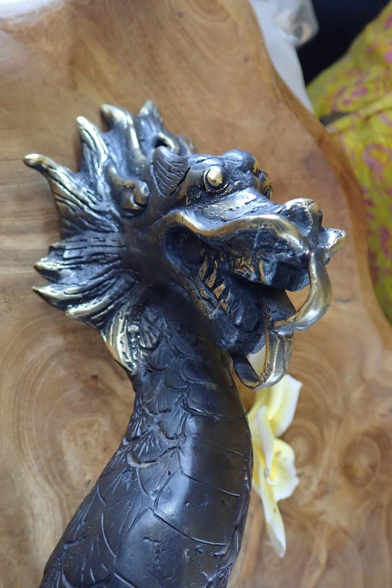 Dragon head close up vintage brass dragon door handle detail