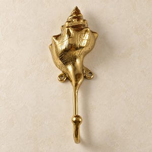 Brass shell spiral hook in a polished gold finish on a cream background
