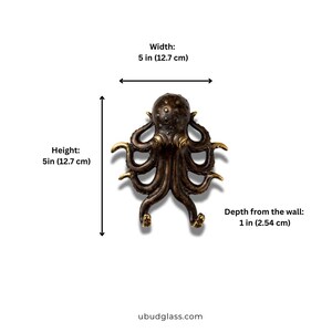 Dimensions of brass octopus wall hook showing height width and depth measurements
