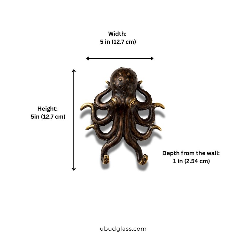 Dimensions of brass octopus wall hook showing height width and depth measurements
