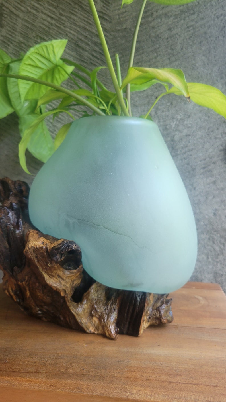 Glass Bowl Molded to Wood / Molten Glass Bowl / Driftwood Etsy