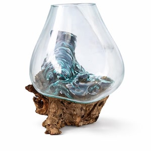 Molten Glass Bowl on Driftwood – Unique Tabletop Vase