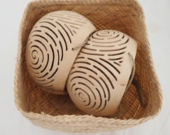 Vasi da cocco, variante giovane. 4 per ordine, orchidee, piante grasse, verdure o erbe aromatiche