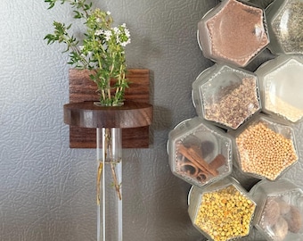 Magnetic Wooden Plant Propagation Station – Handmade Wall Vase with Vintage Test Tube