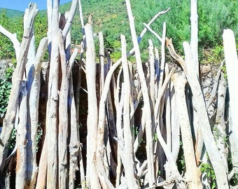 XXL driftwood branches for making pergolas, pool beds, beach beds, etc.