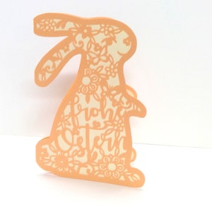 May include: A peach-colored paper cutout of a bunny with floral designs and the text "from the Stern" inside the cutout.