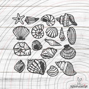 May include: A collection of black and white seashell illustrations, including a starfish, conch shells, and various other marine shell designs. The image features a variety of shapes and sizes, perfect for coastal or nautical-themed projects.