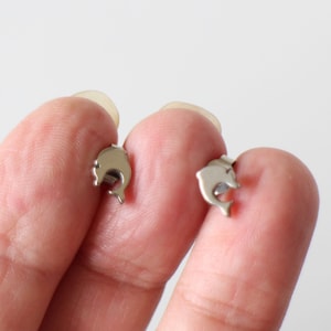 Dolphin stud earrings in silver stainless steel