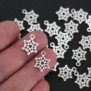 Peut inclure: Un grand nombre de breloques en forme de flocon de neige argentées avec une boucle pour accrocher. Les breloques sont délicates et complexes.