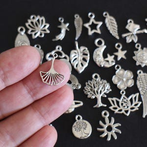 May include: A collection of silver charm pendants featuring various nature-inspired designs, including leaves, flowers, and a crescent moon.
