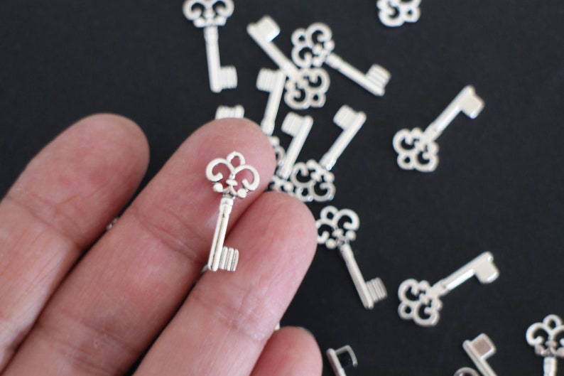 10 breloques clés en laiton argenté 21 x 10 mm pour vos créations bijoux image 3