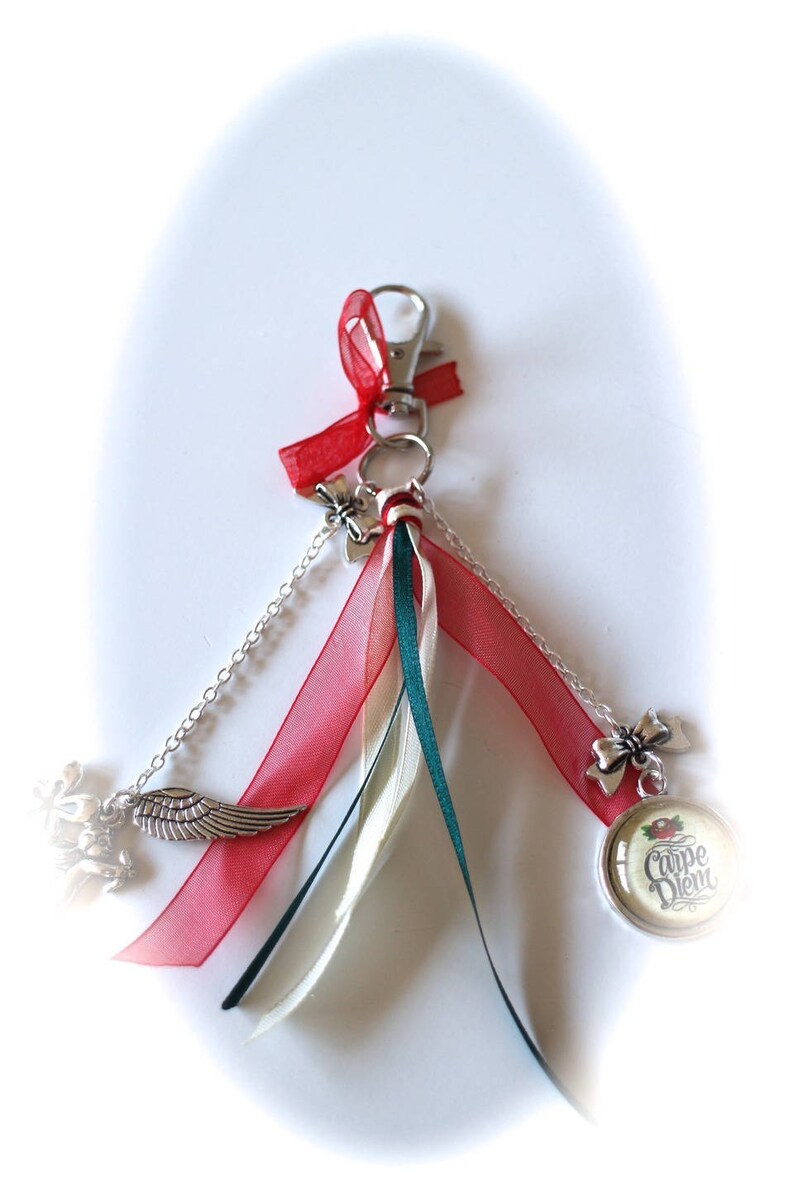 KIT DIY bag jewel cabochon glass Carpe Diem charms and ribbons and silver metal