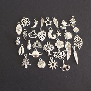 May include: A collection of 30 silver charm pendants featuring various nature-inspired designs, including leaves, flowers, trees, clouds, stars, moons, and more.