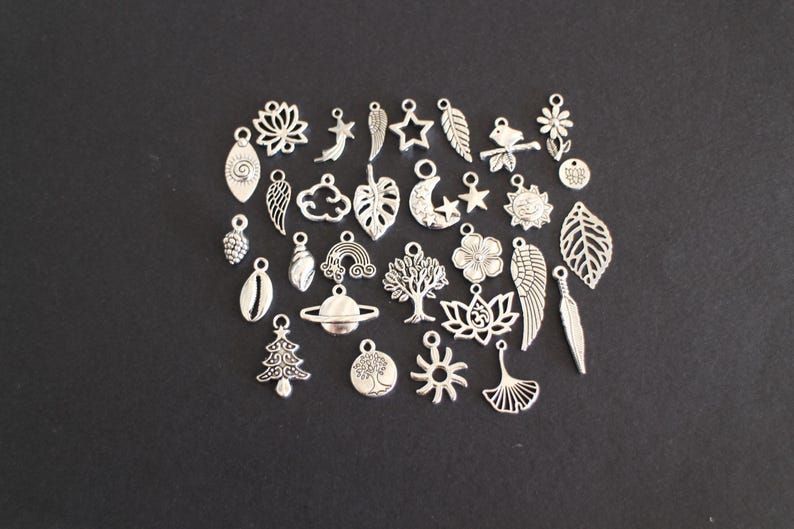 May include: A collection of 30 silver charm pendants featuring various nature-inspired designs, including leaves, flowers, trees, clouds, stars, moons, and more.
