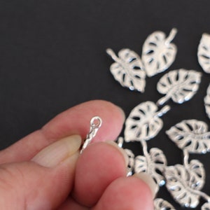 10 breloques feuilles Monstera en laiton argenté 20 x 12 mm pour vos créations bijoux style nature image 3