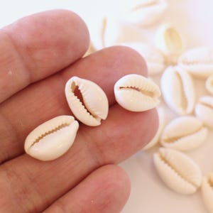 Puede incluir: Una colección de pequeñas conchas de cauri lisas de color blanco roto. Cada concha presenta una característica abertura alargada y dentada a lo largo del centro. Las conchas tienen un acabado pulido y brillante y una forma ovalada.