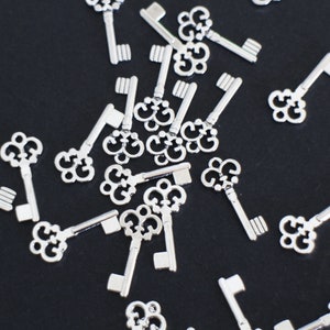 10 breloques clés en laiton argenté 21 x 10 mm pour vos créations bijoux image 2