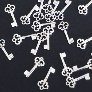 10 breloques clés en laiton argenté 21 x 10 mm pour vos créations bijoux image 4